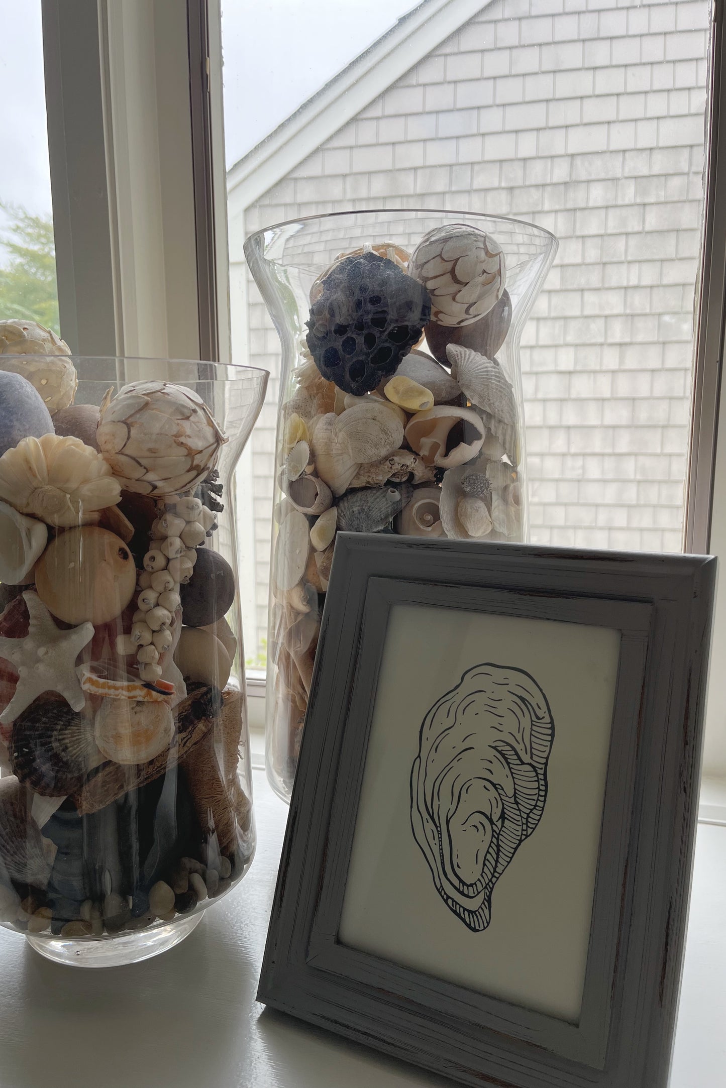 Oyster Shell 5x7 Print
