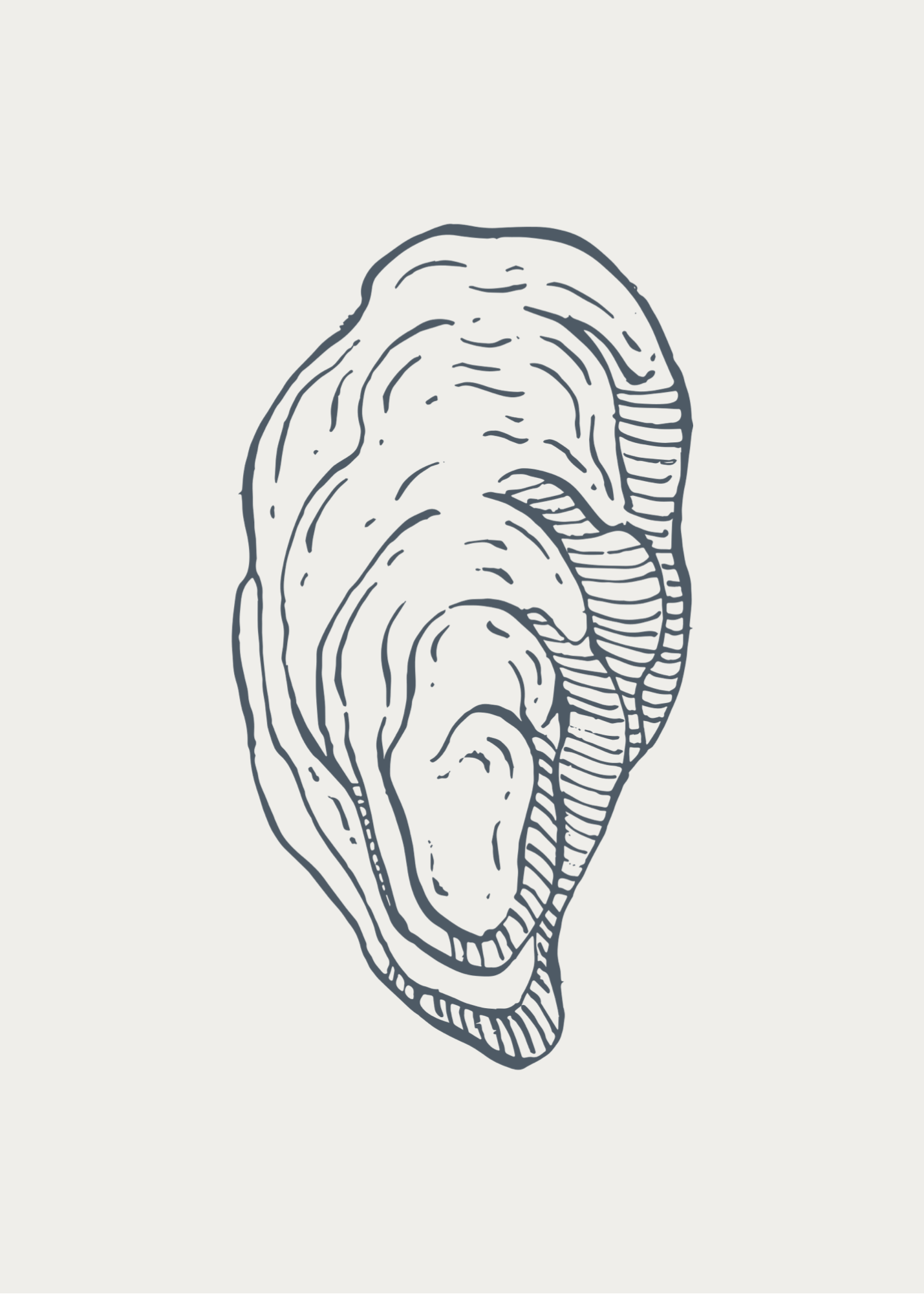 Oyster Shell 5x7 Print