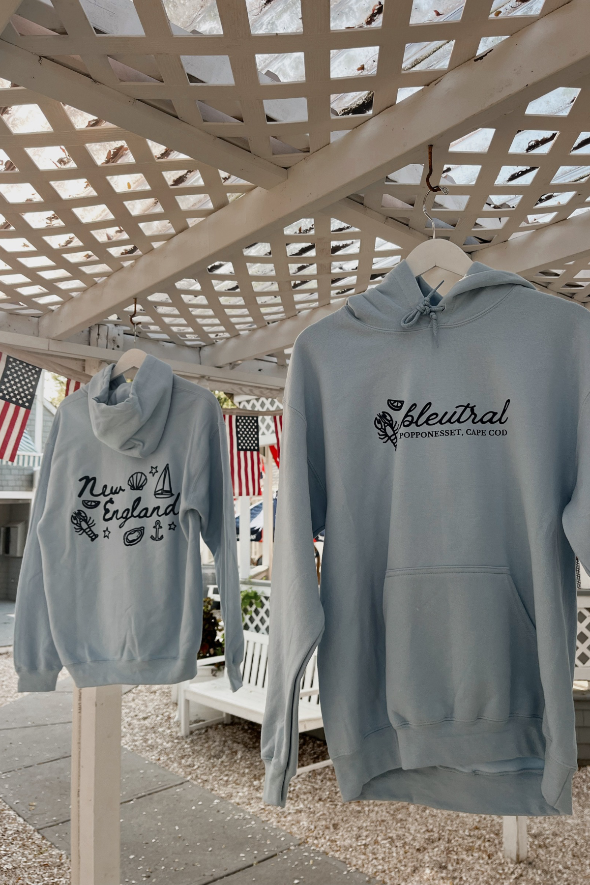 Bleutral New England Hoodie