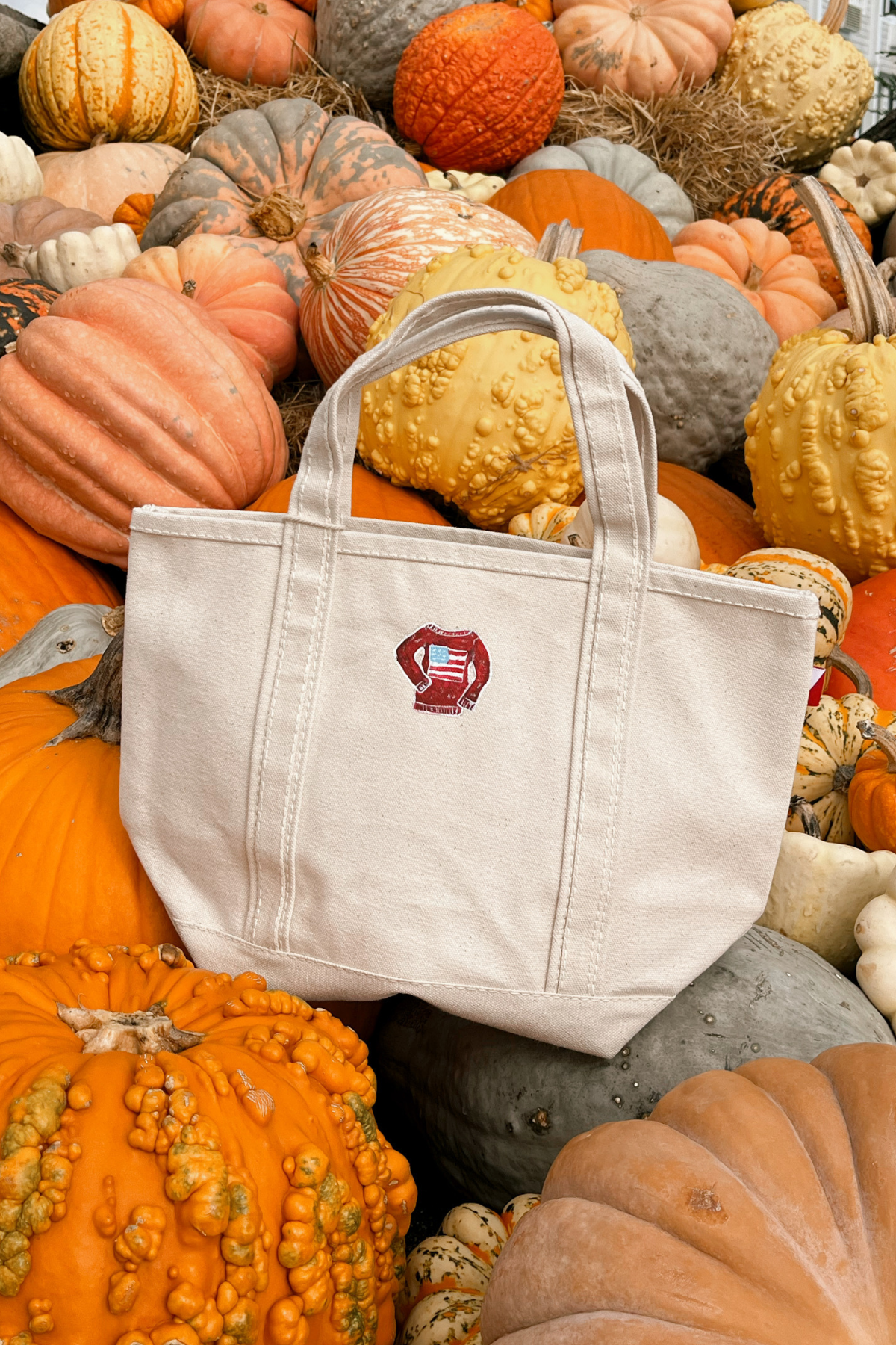 American Knit Hand Painted Shore Bag