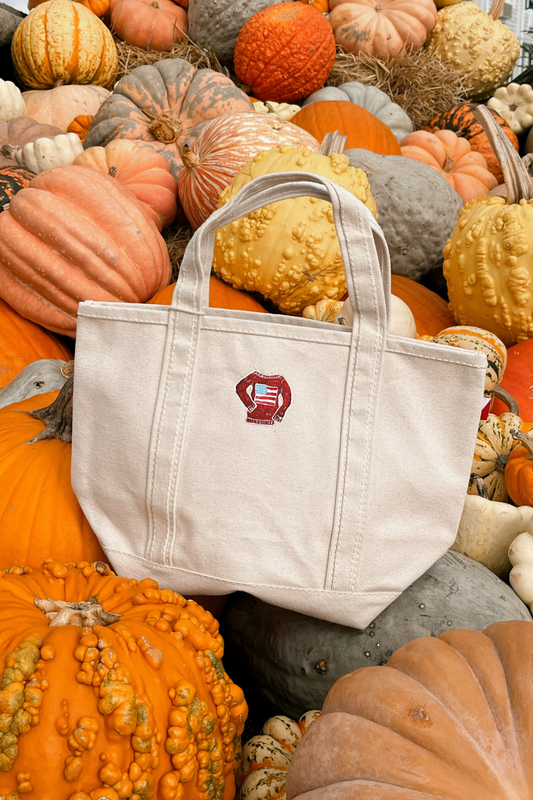 American Knit Hand Painted Shore Bag