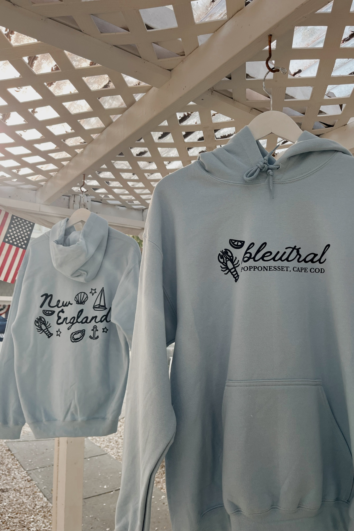 Bleutral New England Hoodie
