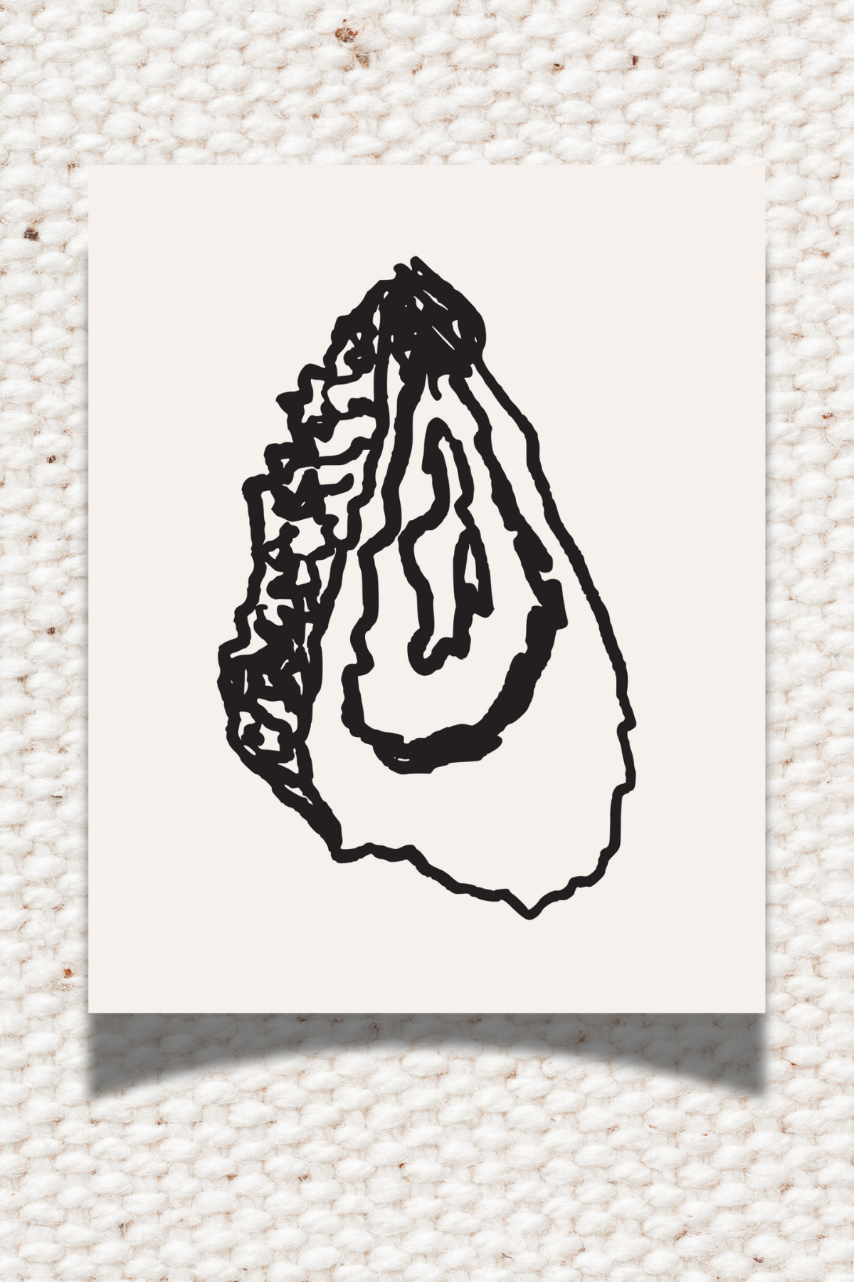 Oyster Sketch 8x10