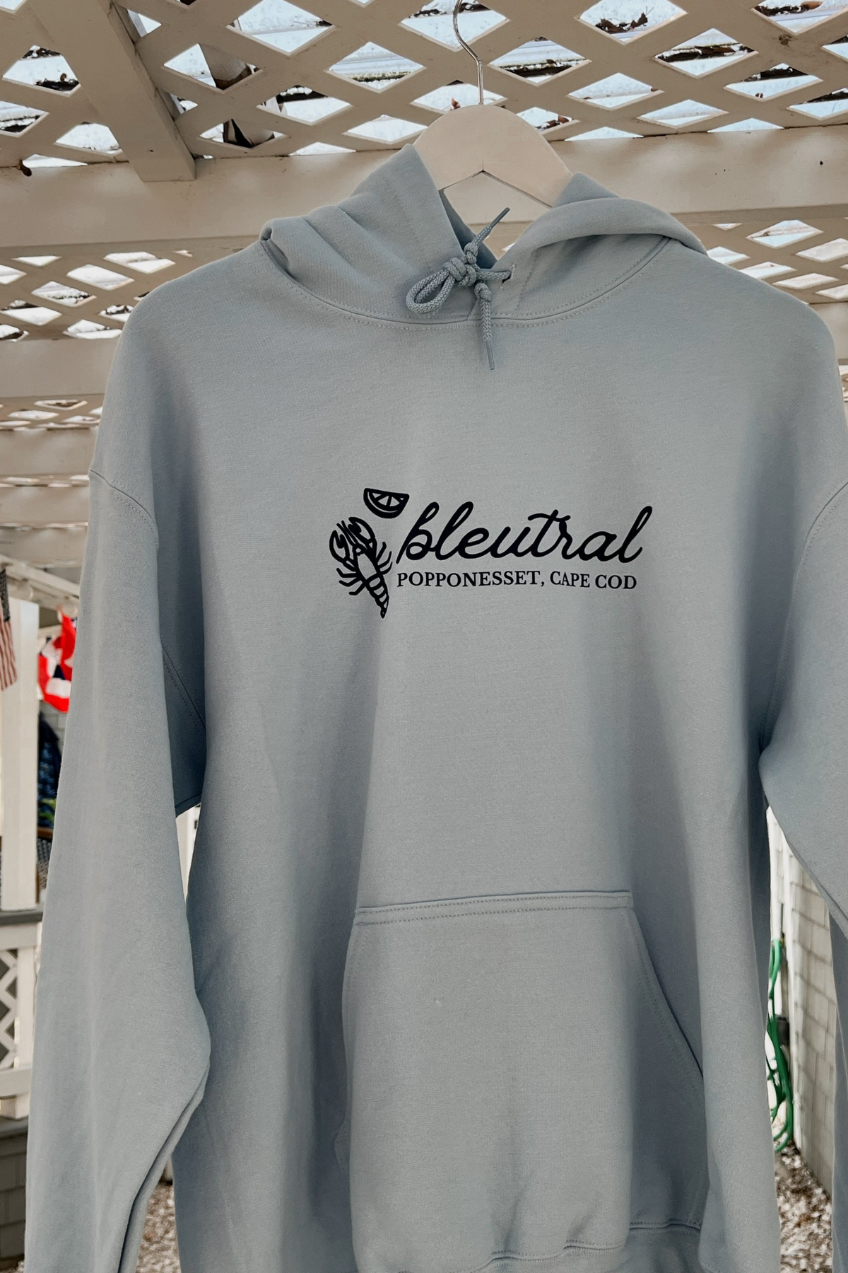 Bleutral New England Hoodie
